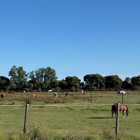 Lazy River Motor Inn Swan Hill Exteriör bild