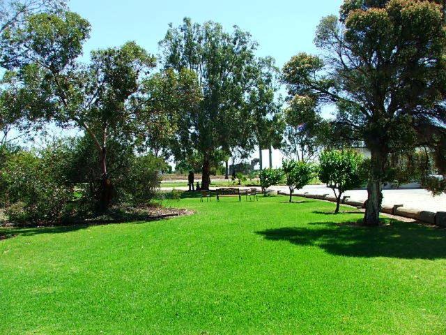 Lazy River Motor Inn Swan Hill Exteriör bild