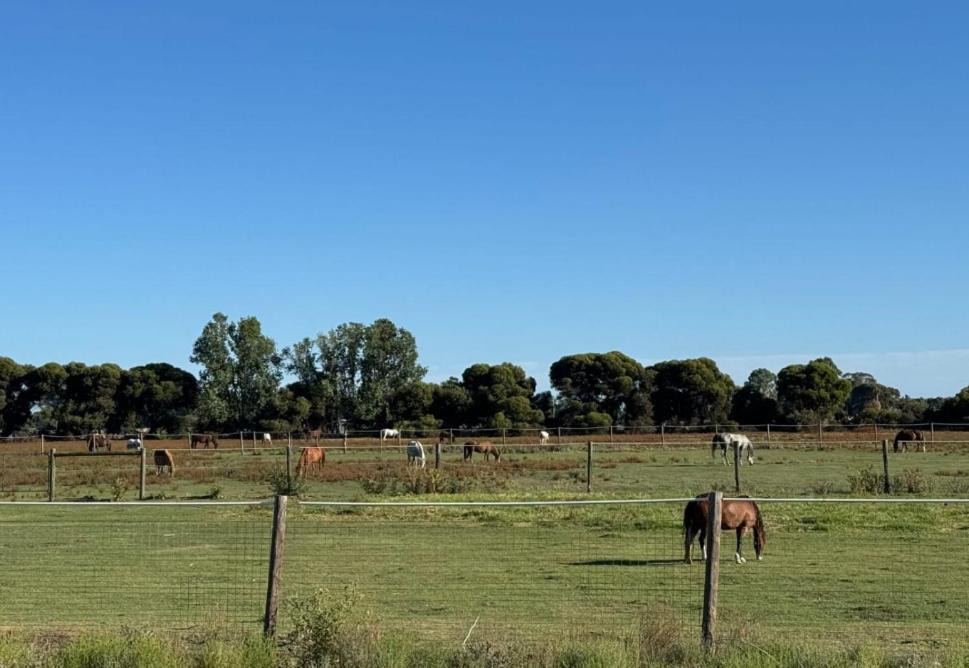 Lazy River Motor Inn Swan Hill Exteriör bild